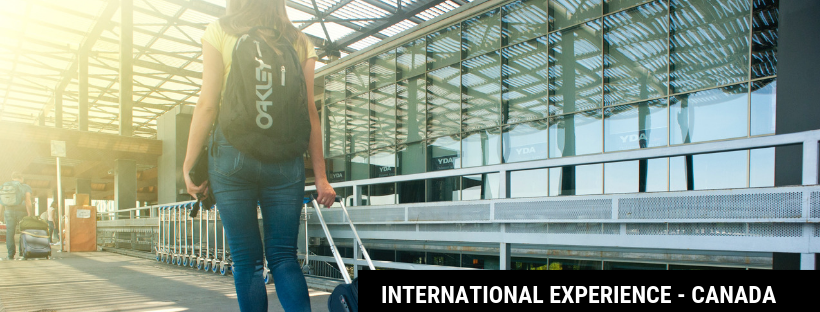 International Experience